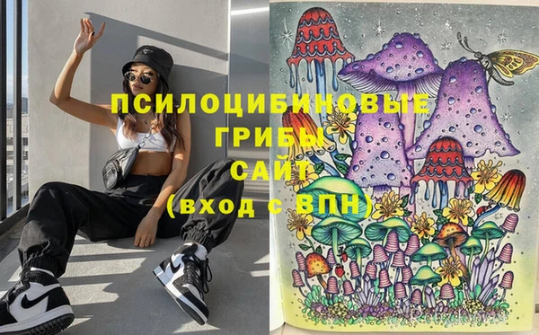 прущая мука Приозерск