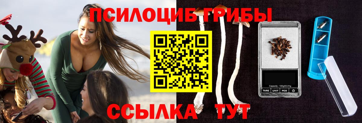 Рассказово  Галлюциногенные грибы Psilocybine cubensis  Вход с VPN  Галлюциногенные грибы GOLDEN TEACHER 