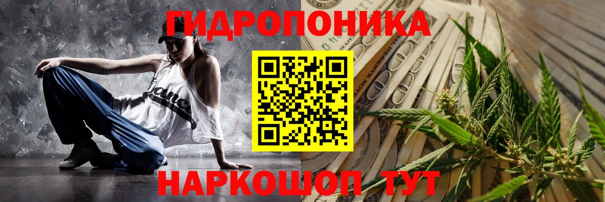 Рассказово  Каннабис сатива  Вход с VPN  Бошки Шишки план 